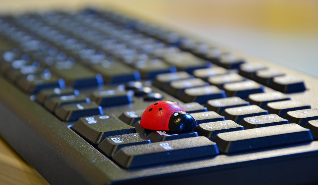A lady bug walking across a computer keyboard